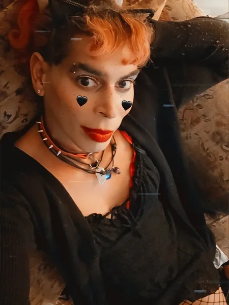 Alexis the Fox