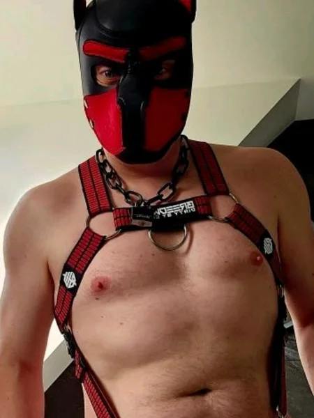 Anubis