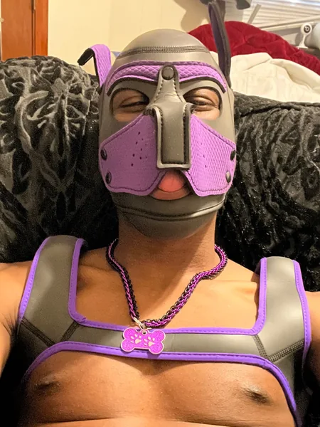 Pup Dallas