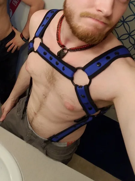 Alpha Pup Wrexx 👑
