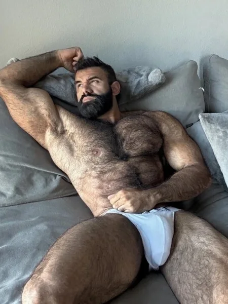 PERSIAN WOLF