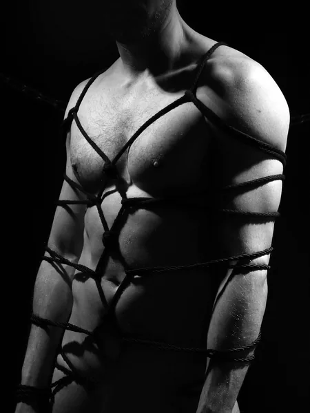 Free gay stuff &amp; more