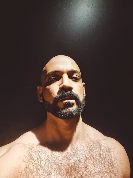 Hung Top Wolf