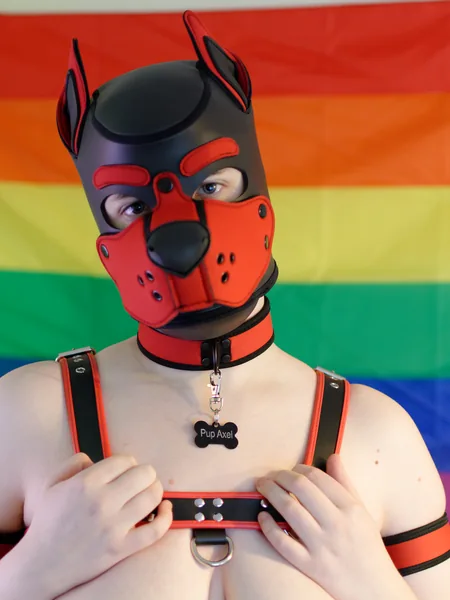 Pup Axel avatar