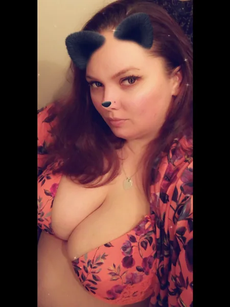 Bad Kitty