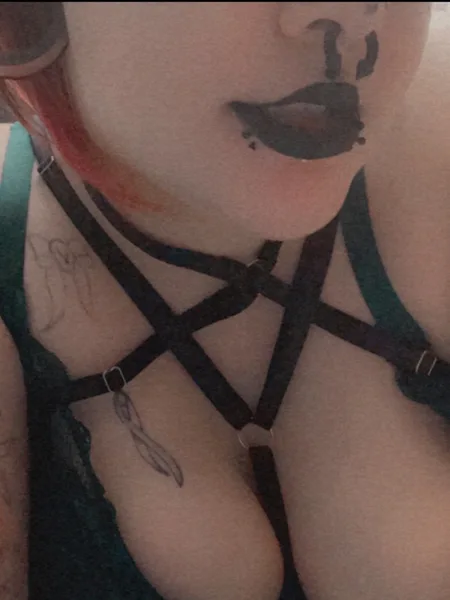 Bat Corpse