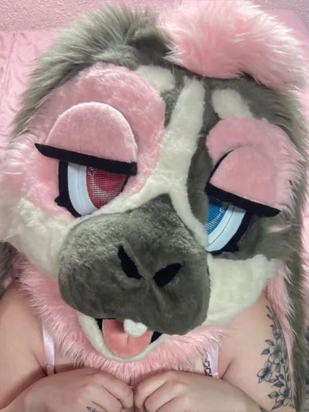 Biscotti Bunny avatar