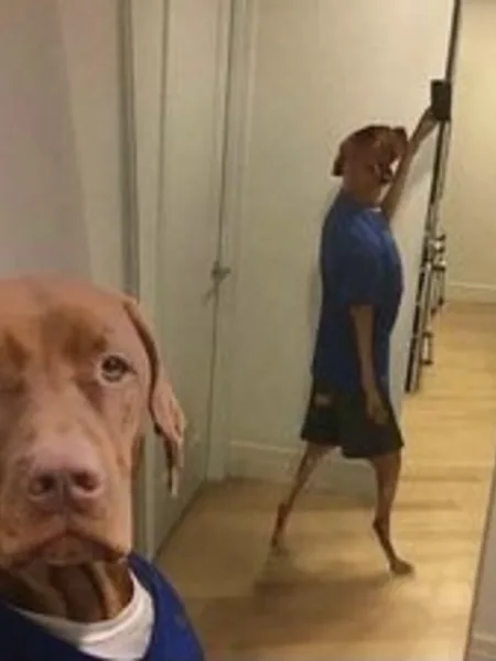 Vava