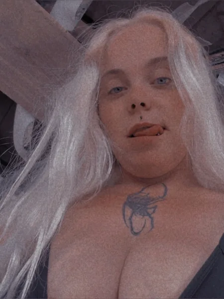 Bogan Bimbo