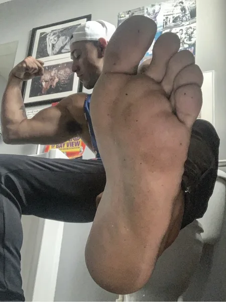BrownStallion
