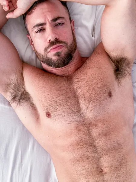 BRUNO Wolfx