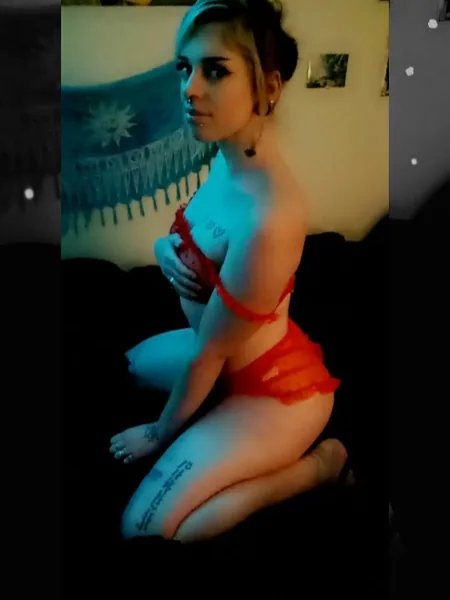 bunnycakes