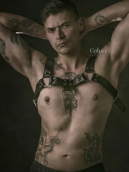 Chacal Favorito
