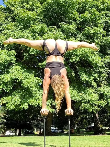 Cirque De licious avatar