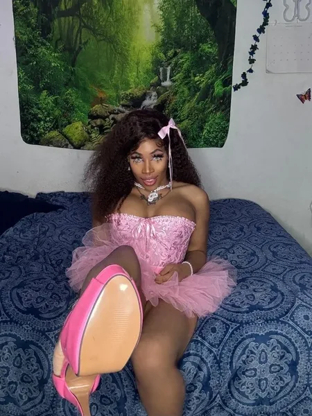 Paradise Doll ✨💦🦋