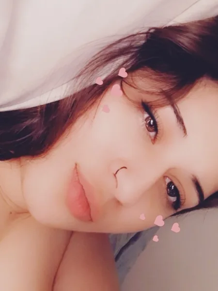 A lint licker