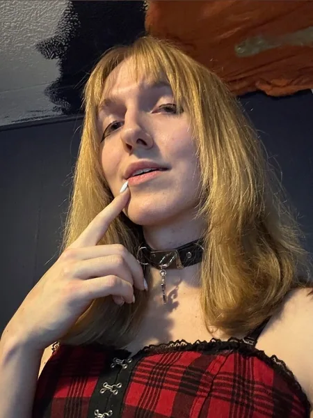 Cunning Kitten