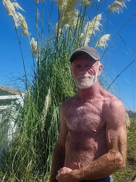Daddy Plow