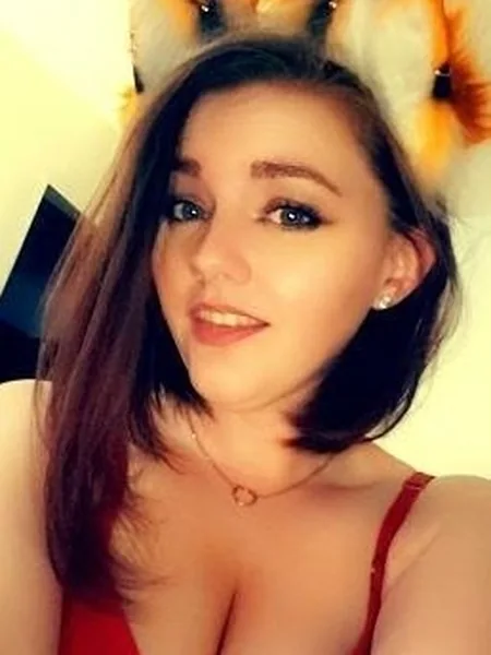Kitten