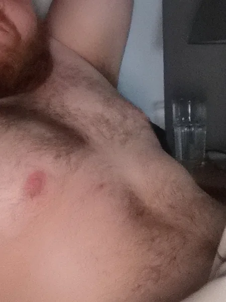 BeardedBear