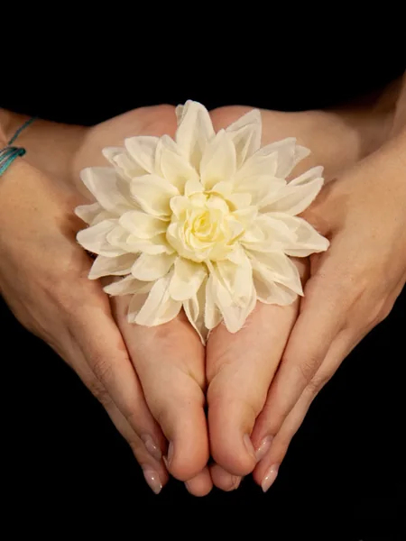 Dahlia Blanc | Foot Fetish Model