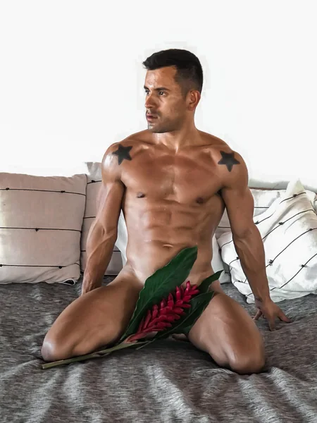 DAN CASTILLO