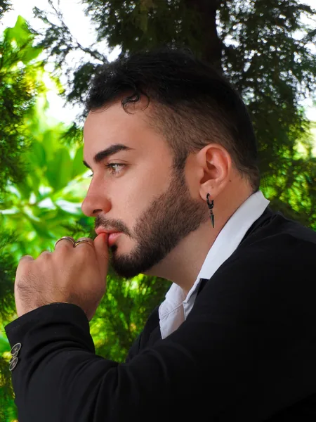 Dantesatrianii