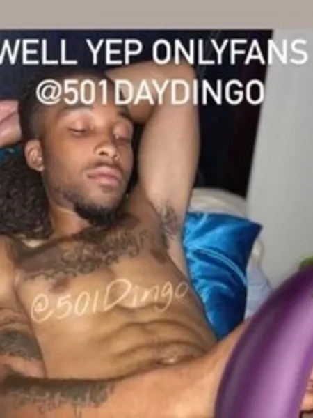 501DayDingo