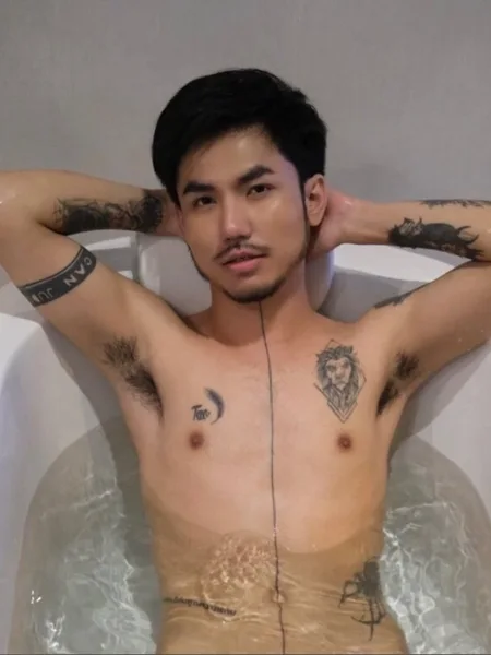 DINOTAO