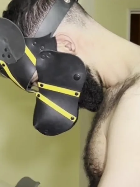 Dogão Belga