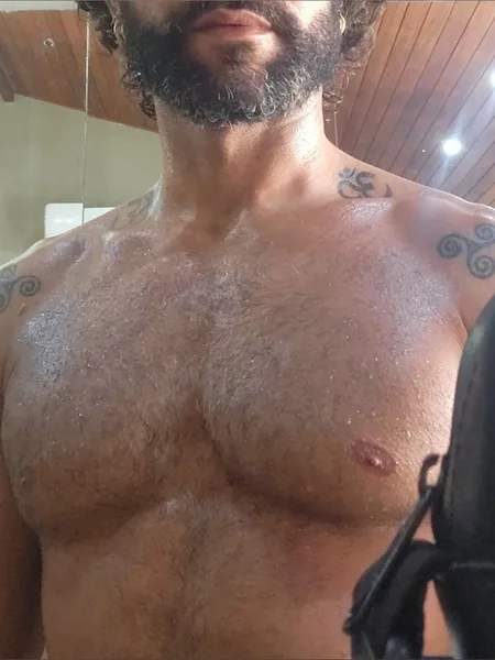 Dragão Alado