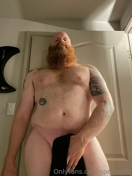 Accidental Bear