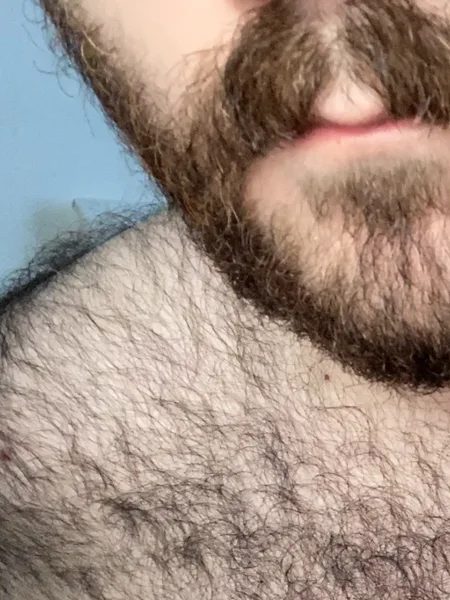 elabear 🧸