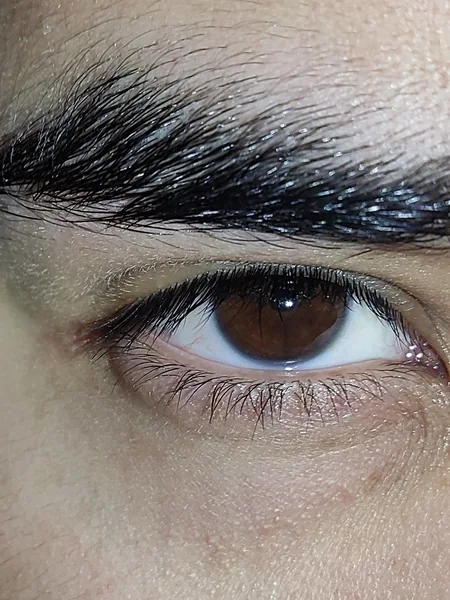 Elculodemexico