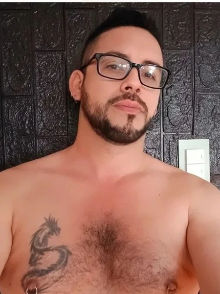 Elpotrocamionero