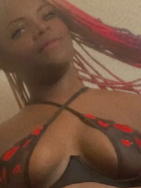 ExoticDaStallion