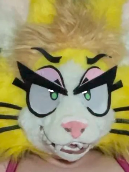THE frisky feline