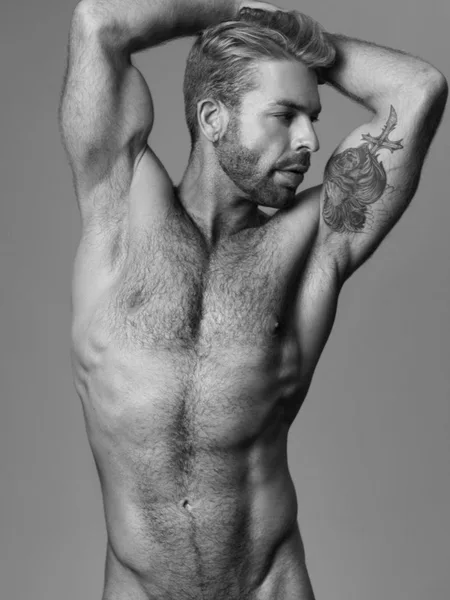 Gabriel Phoenix | Free