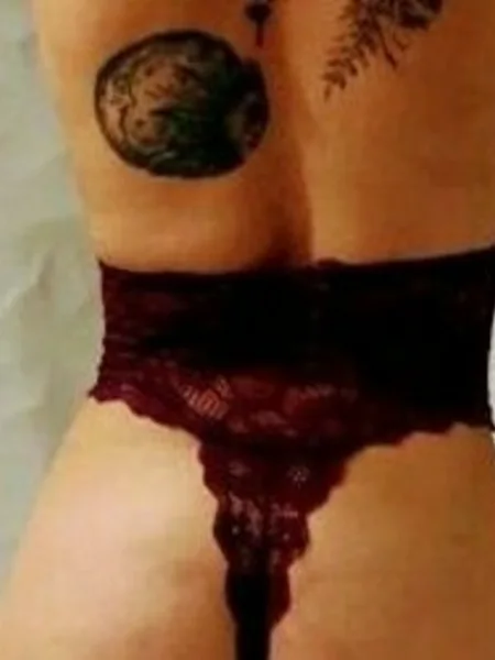 gatitadeporcel