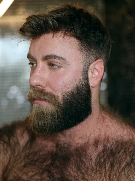 Mr. Teddy Bear