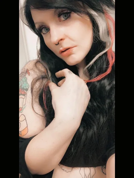 Kitten