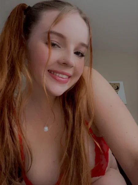 Bribby