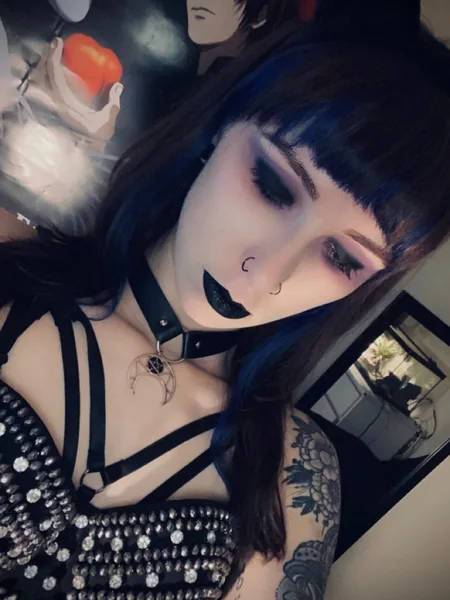 shy 🕷 avatar