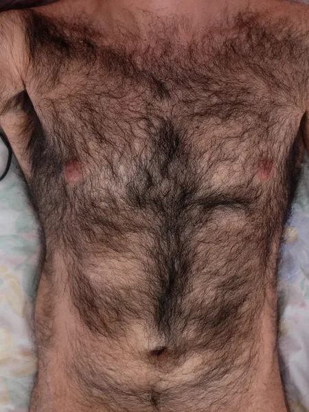 Hairypanther