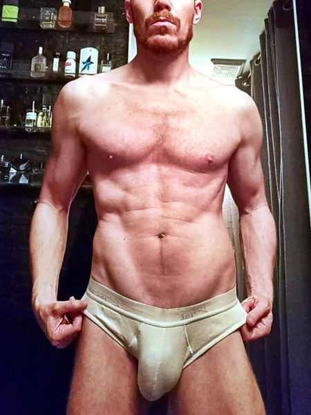 the_original_gingerfox