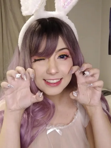 Internet Bunny