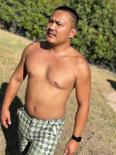 Islandguyjay
