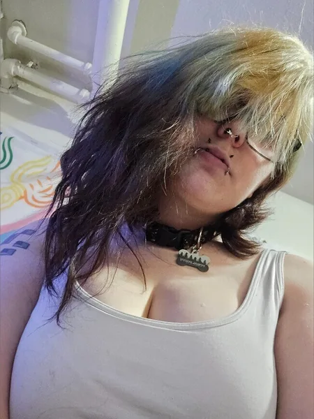 Kaelix Wolf