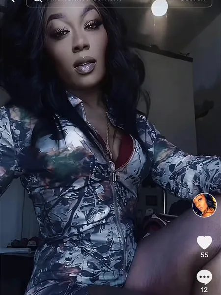 KarDbae Stallion