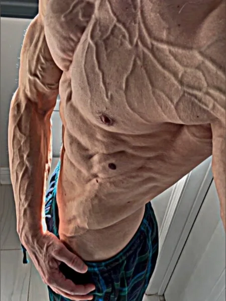 King Shredz